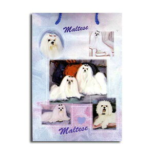 MtgobO  }`[Y EIɗLȓƁuXECXebhvfUC  ObY RNV USA fUCi[uh bsO bsOobO  G 