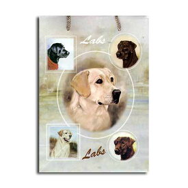 楽天市場 中学生 ブラジャー ペット ペットグッズ の通販