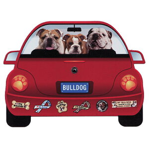  }Olbg  uhbO ObY  킢     G }Olbg Ԃɓ\ hbO XebJ[ v[g ̓ v[g