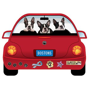  }Olbg  {XgeA ObY  킢     G }Olbg Ԃɓ\ hbO XebJ[ v[g ̓ v[g