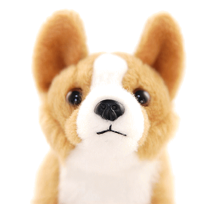 楽天市場】コーギー ぬいぐるみ キーホルダー キーリング キー