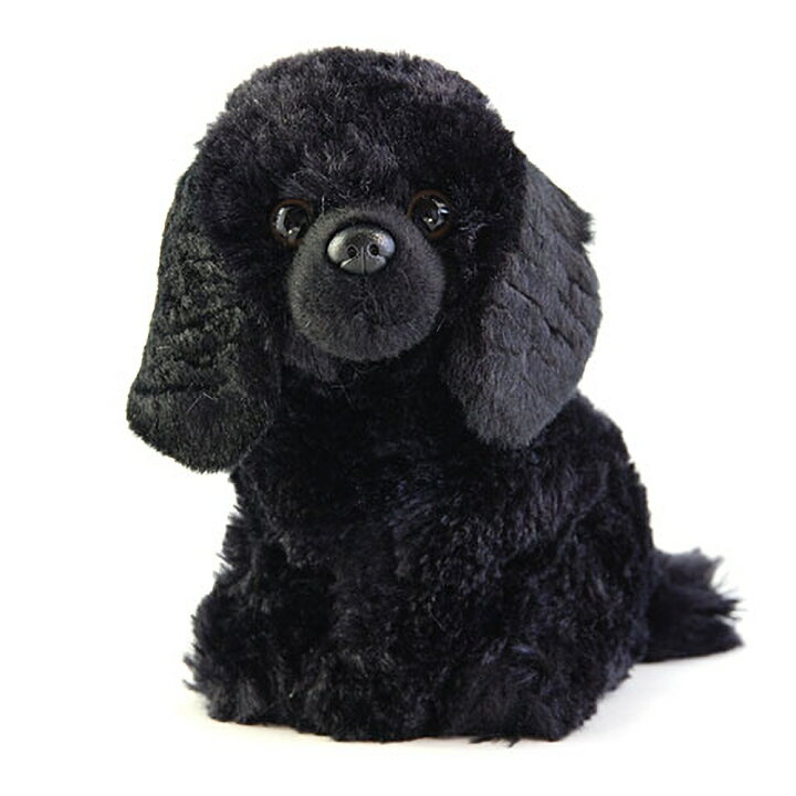 楽天市場 プードル ぬいぐるみ 犬 リアル 黒プードル トイプードル イヌ いぬ Faithful Friends Collectables 犬のぬいぐるみ 犬雑貨 誕生日 お祝い お悔やみ クリスマス プレゼント 可愛い 海外輸入品 輸入雑貨 ひっつぅ くん ジュニアサイズ 通販 楽天 ルシアン