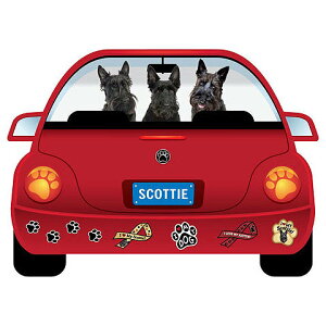  }Olbg  XRbeB[ ObY  킢     G }Olbg Ԃɓ\ hbO XebJ[ v[g ̓ v[g