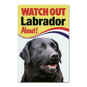 DOG TCv[g(WATCH OUT!)u() ObY G CeA Ŕ փObY ZLeB[ObY \D v[g pi W {[h  v[g Mtg ʔ yV