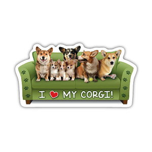 \t@[E}Olbg From USA yR[M[z \t@[Ŋ}OlbgXebJ[ ObY G hbO ObY  G }Olbg XebJ[ 킢 fUCy[