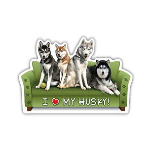 \t@[E}Olbg From USA ynXL[z \t@[Ŋ}OlbgXebJ[ ObY G hbO ObY  G }Olbg XebJ[ 킢 fUCy[