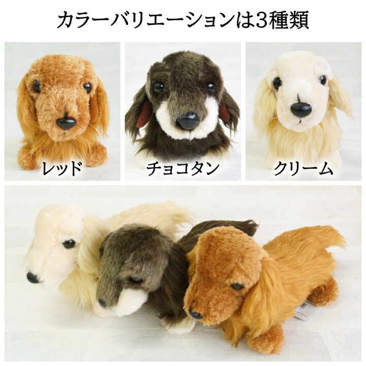 楽天市場 犬のぬいぐるみ リアル 毛並みが優雅なダックスフンド Ssサイズ レッド チョコタン ブラックタン クリーム ゴールド 小さいサイズ ぬいぐるみ プレゼント 誕生日 ギフト 愛犬家 バルーン アニマル雑貨 Le Chien