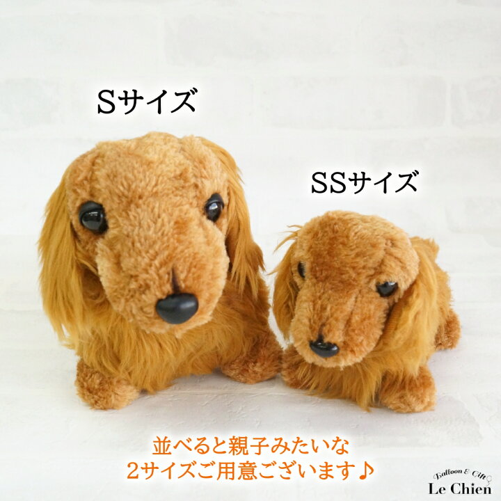 楽天市場 犬のぬいぐるみ リアル 毛並みが優雅なダックスフンド Ssサイズ レッド チョコタン ブラックタン クリーム ゴールド 小さいサイズ ぬいぐるみ プレゼント 誕生日 ギフト 愛犬家 バルーン アニマル雑貨 Le Chien