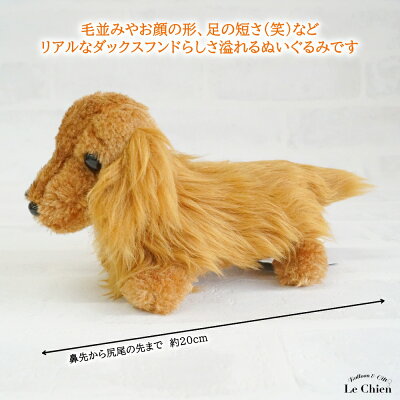 犬のぬいぐるみリアル毛並みが優雅なダックスフンドSSサイズレッドチョコタンブラックタンクリームゴールド小さいサイズぬいぐるみプレゼント誕生日ギフト愛犬家