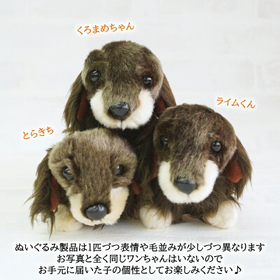 犬のぬいぐるみリアル毛並みが優雅なダックスフンドSSサイズレッドチョコタンブラックタンクリームゴールド小さいサイズぬいぐるみプレゼント誕生日ギフト愛犬家