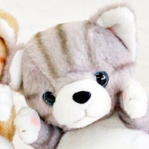 ʂ L A Tog n` ˂̂ʂ ˂ lR  ~PlR L g Vĝ 킢 v[g ̎q NX}X  ybg VA