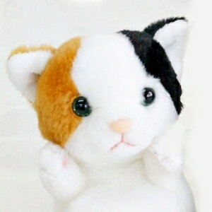 ʂ L A Tog n` ˂̂ʂ ˂ lR  ~PlR L g Vĝ 킢 v[g ̎q NX}X  ybg VA