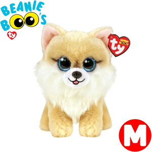 TY ʂ r[j[u[Y nj[R MTCY Beanie Boo's   |jA  Aj} a v[g ʂB 킢 AJG SNS y VA