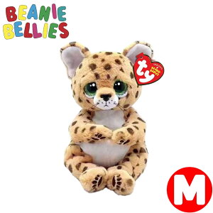 Ty ʂ qE Beanie Bellies Ch MTCY r[j[x[Y Ђ傤 oYj a ObY  킢 CeA Mtg y