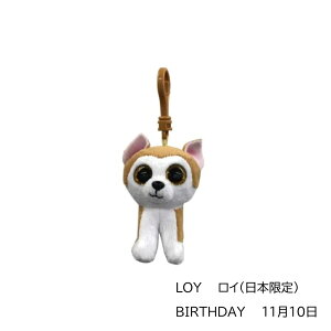 TY ʂ L[z_[ L[Nbv r[j[u[Y KC Beanie Boo's  킢  lR jR[ obO`[ ؍ACh lC