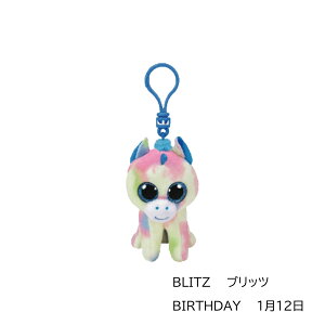 TY ʂ L[z_[ L[Nbv r[j[u[Y KC Beanie Boo's  킢  lR jR[ obO`[ ؍ACh lC