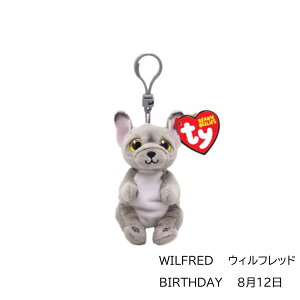 TY ʂ L[z_[ L[Nbv r[j[x[Y KC Beanie Bellies  킢  lR p_ jR[ g E[p[[p[ T obO`[ ؍ACh lC