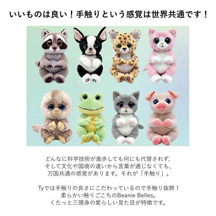 楽天市場】TY ぬいぐるみ ビーニーベリーズ Beanie Bellies ネコ 