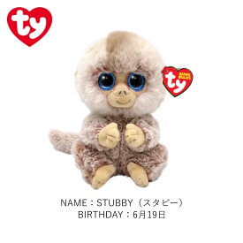TY ぬいぐるみ ビーニーベリーズ Beanie Bellies ネコ カエル 犬 サル ウーパールーパー 動物 アニマル 誕生日 プレゼント ぬい撮り 推しぬい ふわふわ くたくた 手触り抜群 あす楽 ルシアン