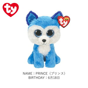 TY ʂ r[j[u[Y LTCY Beanie Boo's lR  tNE p_ jR[ tBIi ou[ Ip[ Xsbg p[V[ G`ebh W[ vX  Aj} 