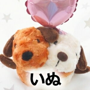  o[ ʂ d jd j  t ouo[   ˂  p_ Ђ u^ bT[p_  킢 EFfBO D 