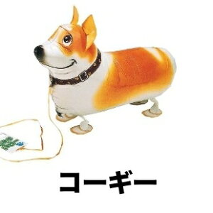 o[ ĂĂU ǂԂo[ S12 R[M[ Ό _bNX 101C񂿂 go[ v[h pO yM  ˂ ˂ Aq EH[LOo[ wE