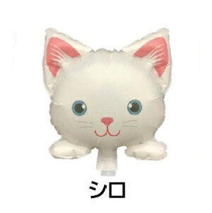 XeBbNo[ L tHgvbvX D lR a t fR[V o[Xf[ 1 VA