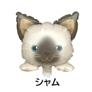 XeBbNo[ L tHgvbvX D lR a t fR[V o[Xf[ 1 VA