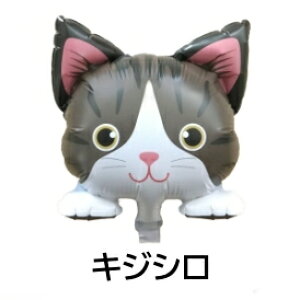 XeBbNo[ L tHgvbvX D lR a t fR[V o[Xf[ 1 VA