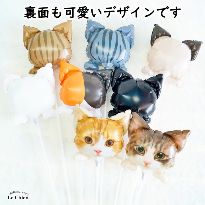楽天市場】スティックバルーン 可愛い猫ちゃん フォトプロップス 風船  