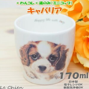  LoA ̂ ̂ Jbv Rbv JtF }`Jbv hbOJtF  R H {  LoAObY G  v[g Mtg Ԃ VA