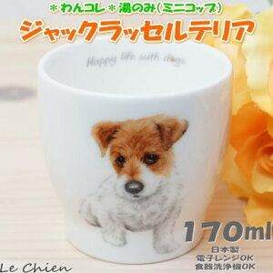  WbNbZ ̂ ̂ Jbv Rbv JtF }`Jbv hbOJtF  R H {  WbNbZObY G  v[g Mtg Ԃ 