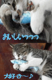 またたびポワソンまたたび入り猫ちゃんのおもちゃ猫のおもちゃポワソンねこネコ魚ネコ雑貨ネコグッズプレゼントギフトお返しルシアン