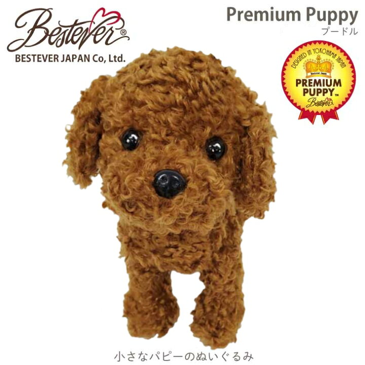 楽天市場】トイプードル アプリコット ブラウン 犬のぬいぐるみ リアル 