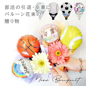 Ǝ o[ ԑ   X|[c o[u[P TbJ[ oXP 싅 \tg{[ ejX o[{[ St _X ty y _X 搶 {   LOi  w