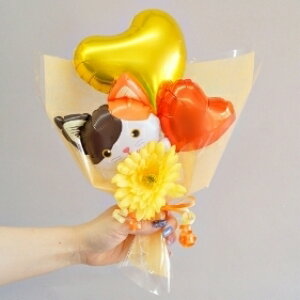 o[ ԑ ̓ ˂ lR L o[u[P a o[ \ ~ju[P   ybg ybgObY   Ǝ o[ VlR VAu[ n`