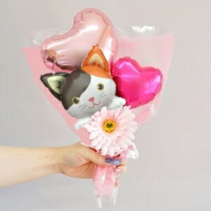 o[ ԑ ̓ ˂ lR L o[u[P a o[ \ ~ju[P   ybg ybgObY   Ǝ o[ VlR VAu[ n`