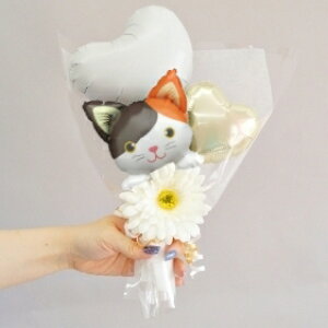 o[ ԑ ̓ ˂ lR L o[u[P a o[ \ ~ju[P   ybg ybgObY   Ǝ o[ VlR VAu[ n`