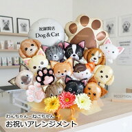 開店祝い バルーン 犬 猫 わん＆にゃん大集合アレンジ 開店 周年 祝い ペットサロン 動物病院 トリミング…
