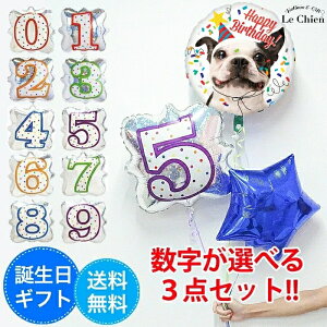 o[ a wEKX 񂿂o[Xf[ t`uhbO tu ObY   3_Zbg o[Xf[ p[eB[  t v[g j  VA