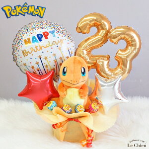 a o[ |P qgJQ ʂݕtAW |PbgX^[  j̎q ̎q o[Xf[ v[g t d Mtg