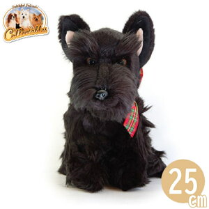 XReBbVeA XRbeB[ ʂ  Ck  A faithful friends G ̂ʂ a j   w  AG Ђ`yzN