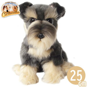 ViEU[ ʂ A yFaithful Friends ViEU[ ʂ݁z Ck ʂ A {  ybg ViEU[ObY