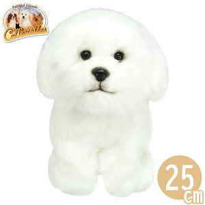 rVt[[ ʂ  Ck  A faithful friends G ̂ʂ a j   v[g NX}X w  COi COAi AG