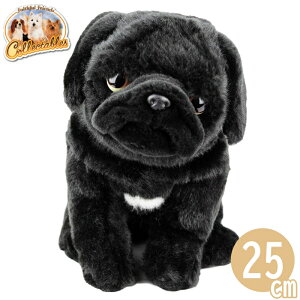 pO  pO ʂ  Ck  A faithful friends G ̂ʂ a j   v[g NX}X w  COi COAi AG 