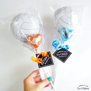 Ǝ o[ ԑ  \ LOi   j Mtg ~jTCY v` o[Mtg o[u[P X|[c 1{ 1 XeBbN  wZ w Z wZ w  