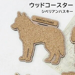 R[X^[ ؐ EbhR[X^[ VxAnXL[ {  k 킢 VR  i` Vv Lb`G D v[g