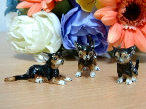 tXyKLIMAЁzA퐻tBMA~js K112-3set (u G ObY tBMA l` ̒u  CeAG  v[g Mtg 蕨 a tX 