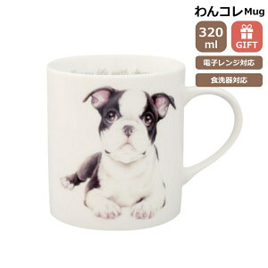 }OJbv {XgeA {Xe  Rbv R[q[ Jbv eB[Jbv  i` JtF hbOJtF R H { {XeObY G  v[