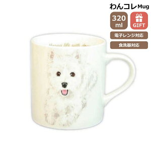 }OJbv EFXeB[  G Rbv R[q[ Jbv eB[Jbv  i` JtF hbOJtF R H { EFXeB[ObY G  v[